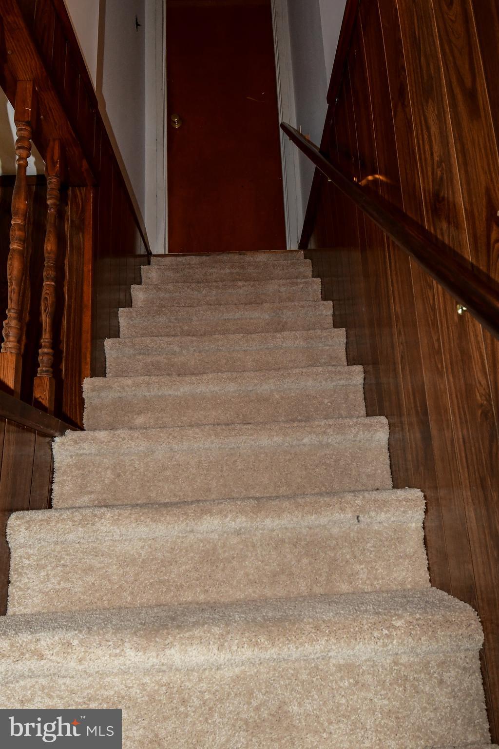 136 Hickory Hill Road Philadelphia, PA 19154 - Photo 15 of 19 New carpets from Kitchen to Basement