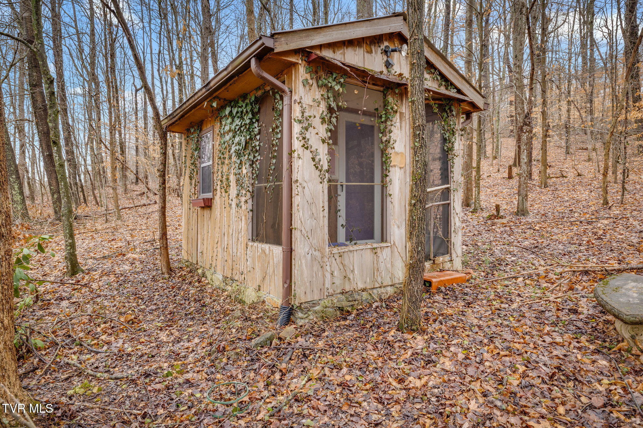 1308 Reedy Creek Road Bristol, TN 37620 - Photo 36 of 59 035