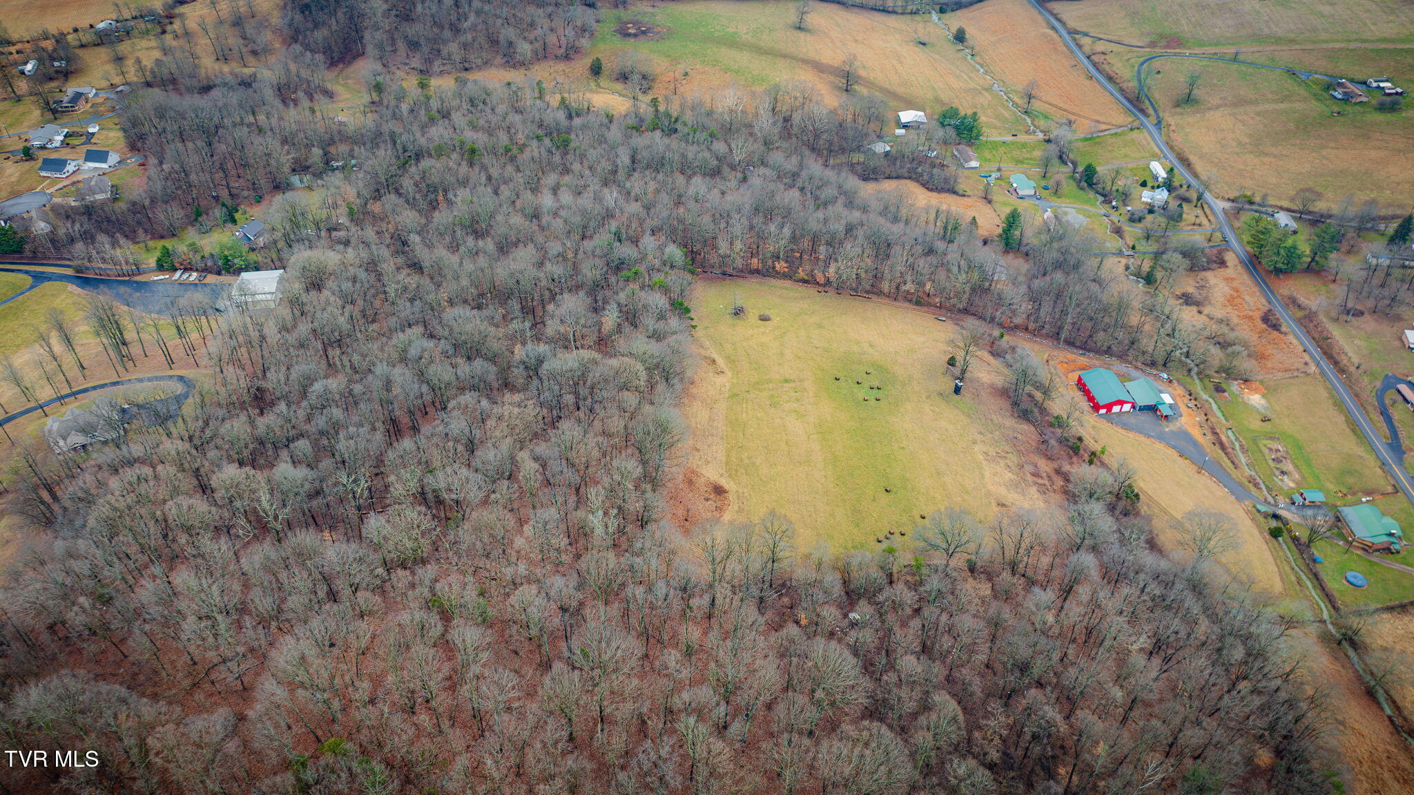 1308 Reedy Creek Road Bristol, TN 37620 - Photo 44 of 59 203