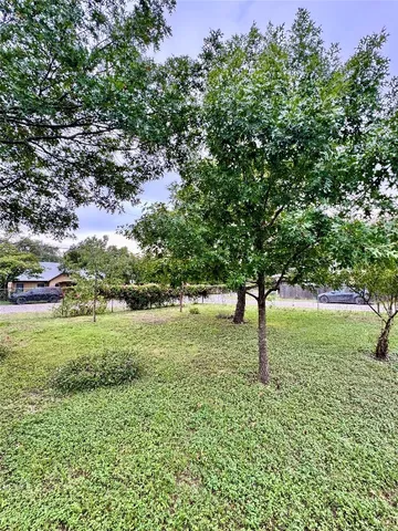 a view of a garden with a tree