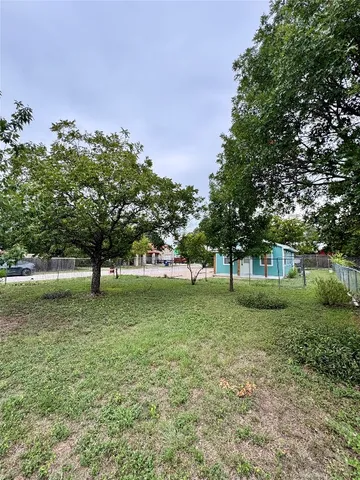 a view of a tree in a yard