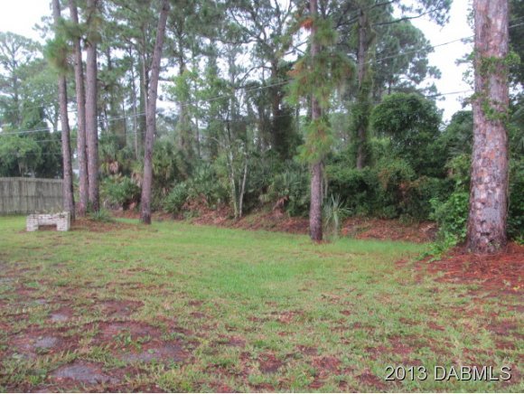 2907 Juniper Drive Edgewater, FL 32141 - Photo 3 of 12 a backyard of a house with lots of green space