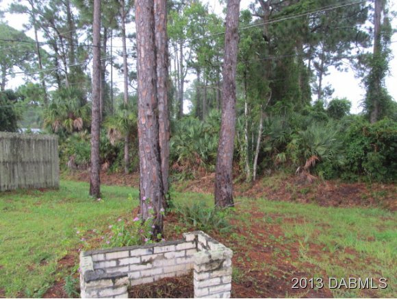 2907 Juniper Drive Edgewater, FL 32141 - Photo 4 of 12 a view of backyard with green space