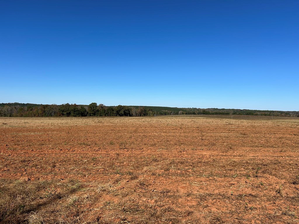 62/ Cty Road Coleman, GA 39836 - Photo 17 of 58