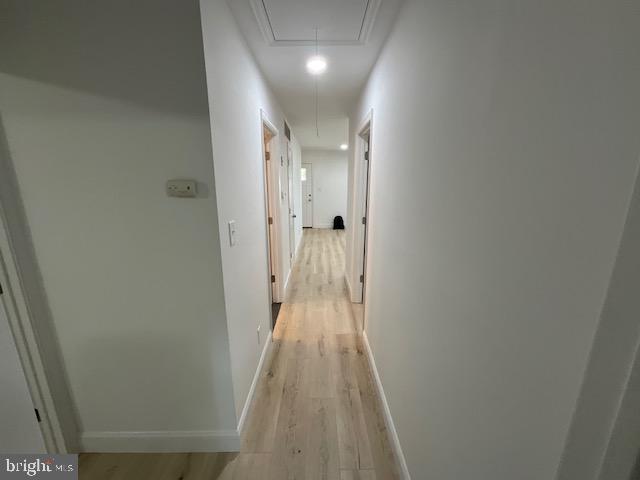 384 Post Boulevard Dover, DE 19904 - Photo 9 of 13 a view of a hallway with wooden floor
