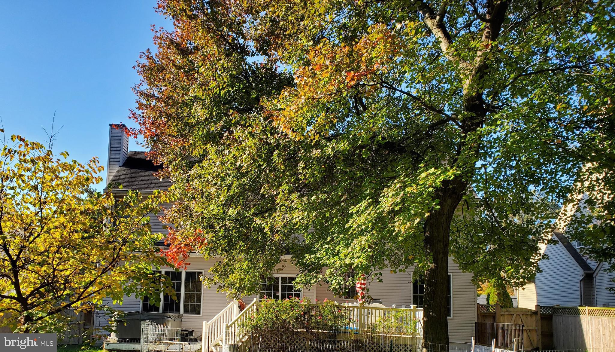 25 Johnson Road Pasadena, MD 21122 - Photo 35 of 47 Gallery Image 35