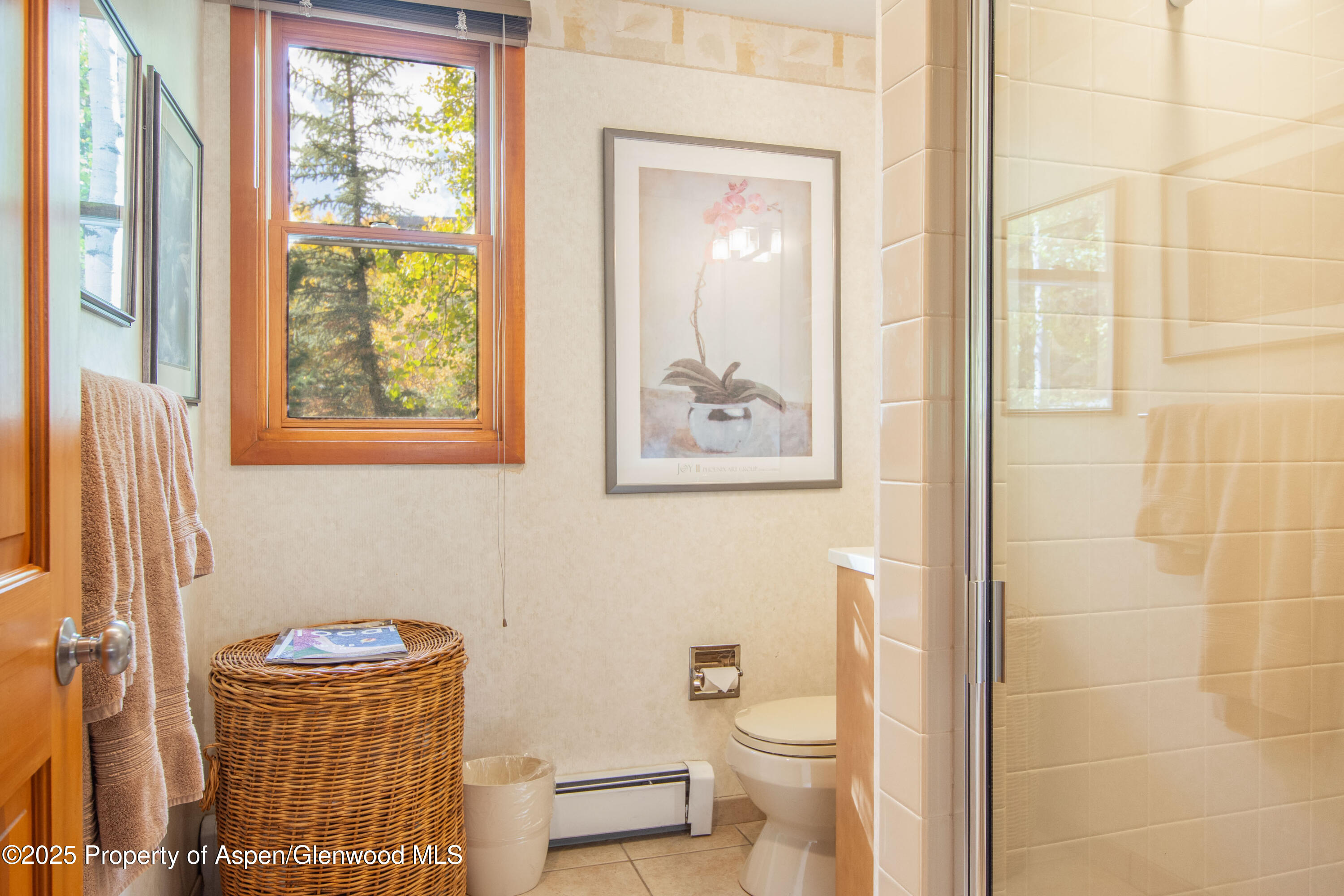 425 Wood Road, Unit 10 Snowmass Village, CO 81615 - Photo 8 of 28 PDR1