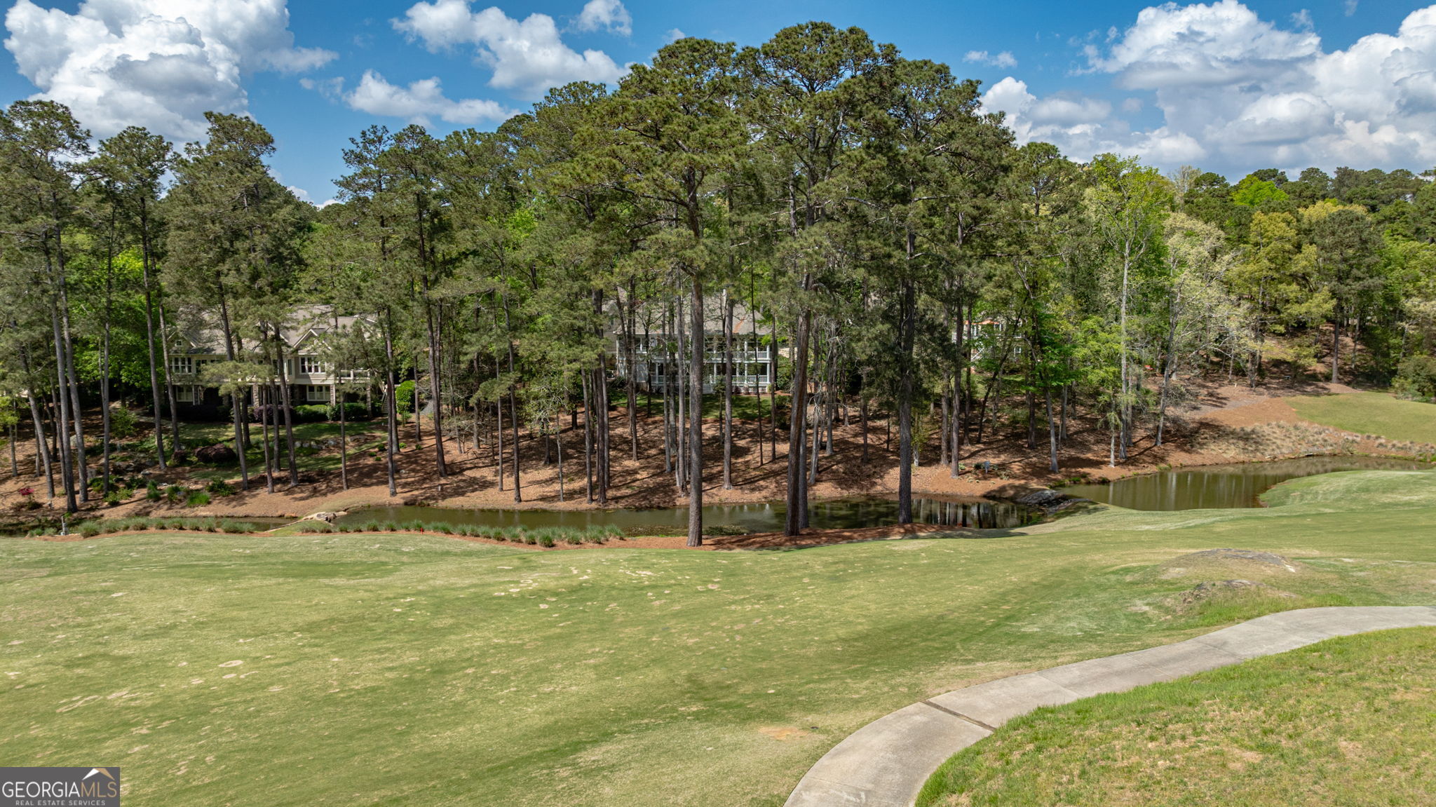 1080 Quail Ridge Way Greensboro, GA 30642 - Photo 5 of 63