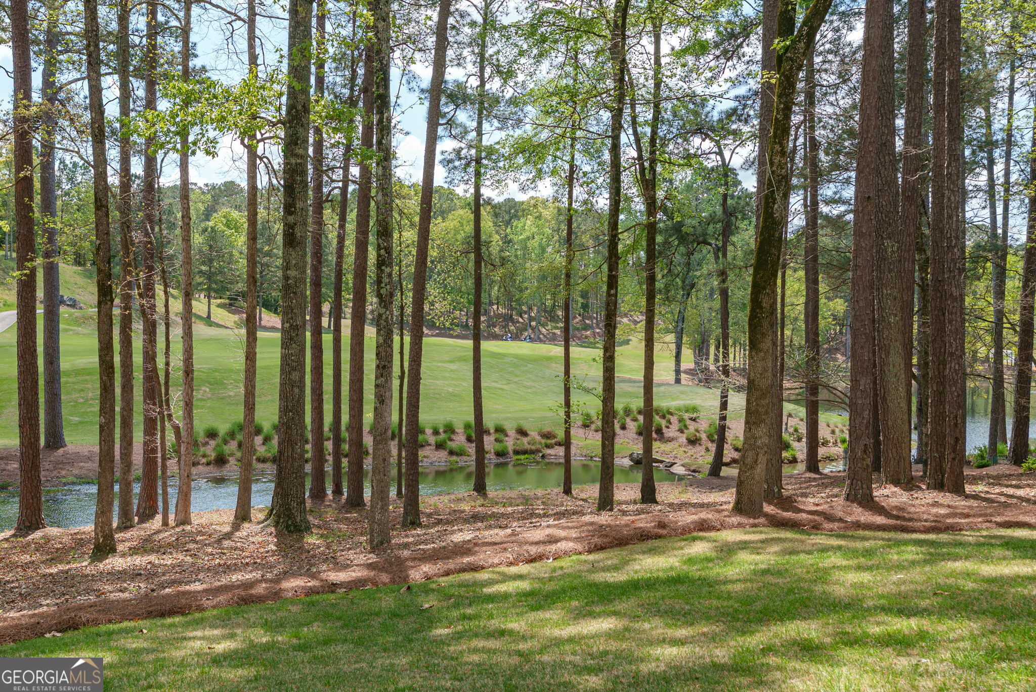 1080 Quail Ridge Way Greensboro, GA 30642 - Photo 57 of 63