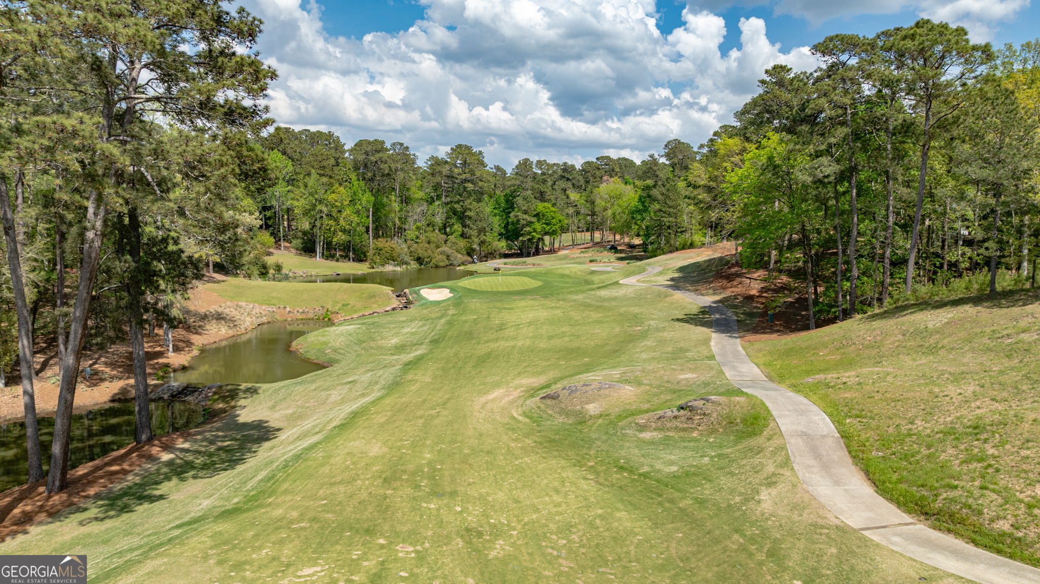 1080 Quail Ridge Way Greensboro, GA 30642 - Photo 59 of 63