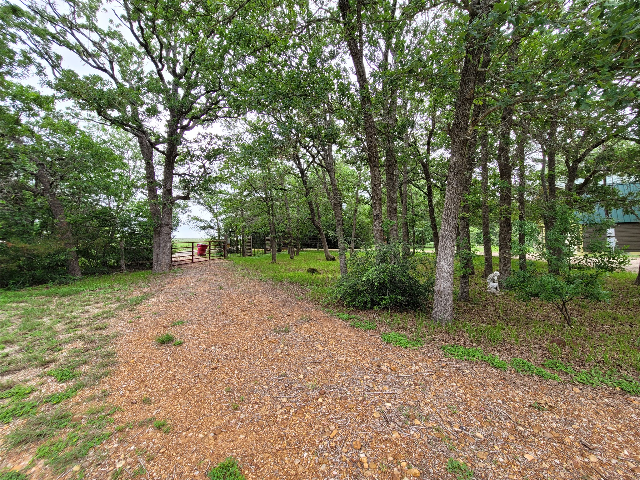 281 Earl Callahan Road, Unit A Cedar Creek, TX 78612 - Photo 39 of 39 a view of a forest with trees in the background