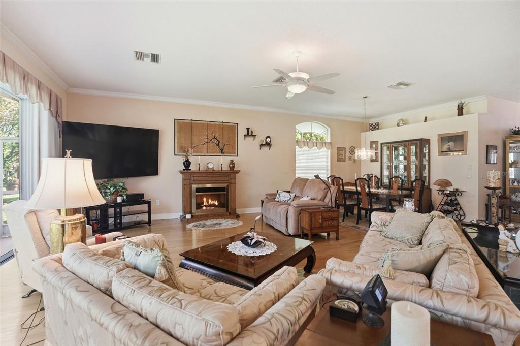1430 Canberley Court Trinity, FL 34655 - Photo 11 of 66