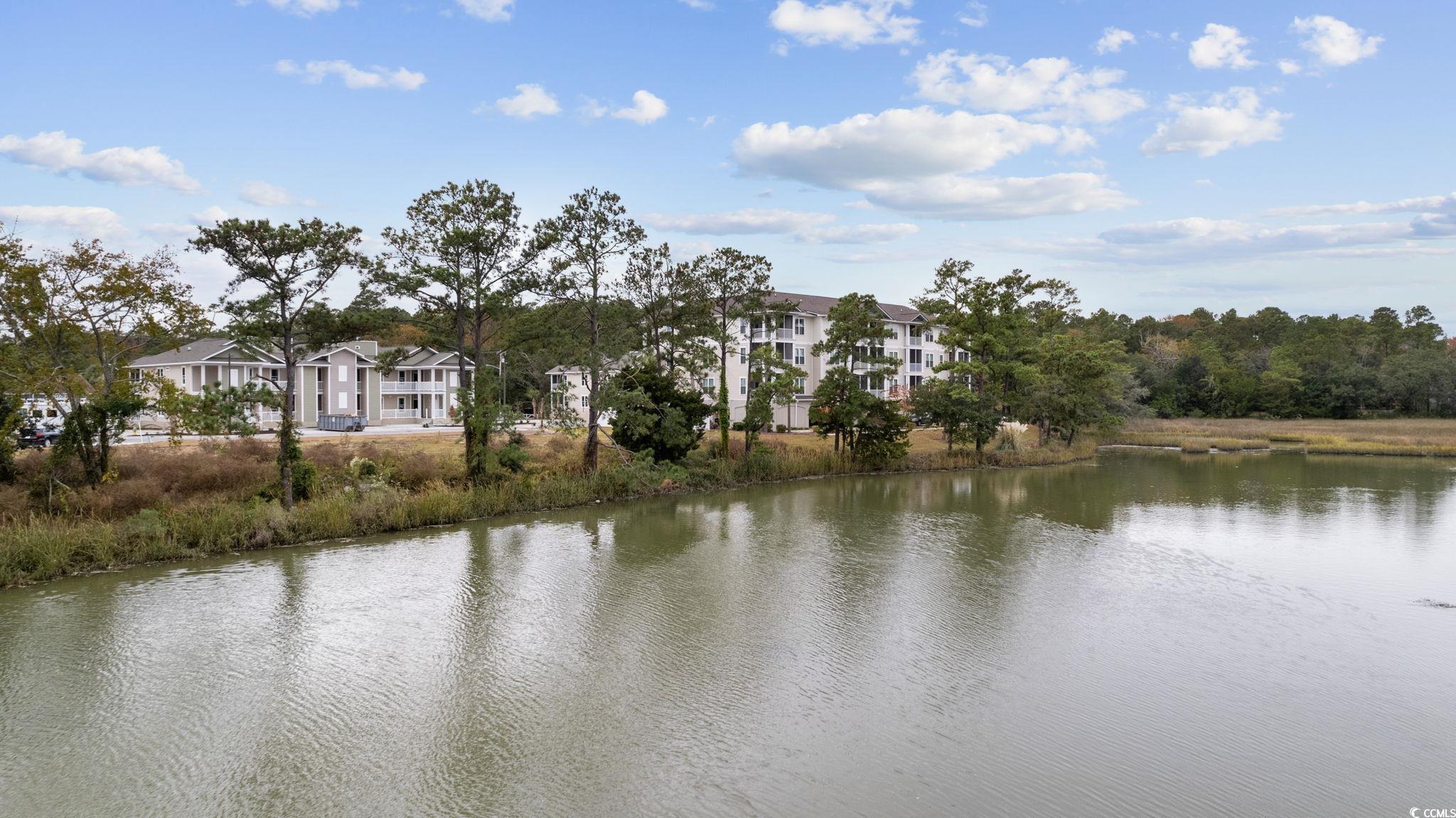 627 Bonaventure Drive, Unit 104 Myrtle Beach, SC 29577 - Photo 36 of 39