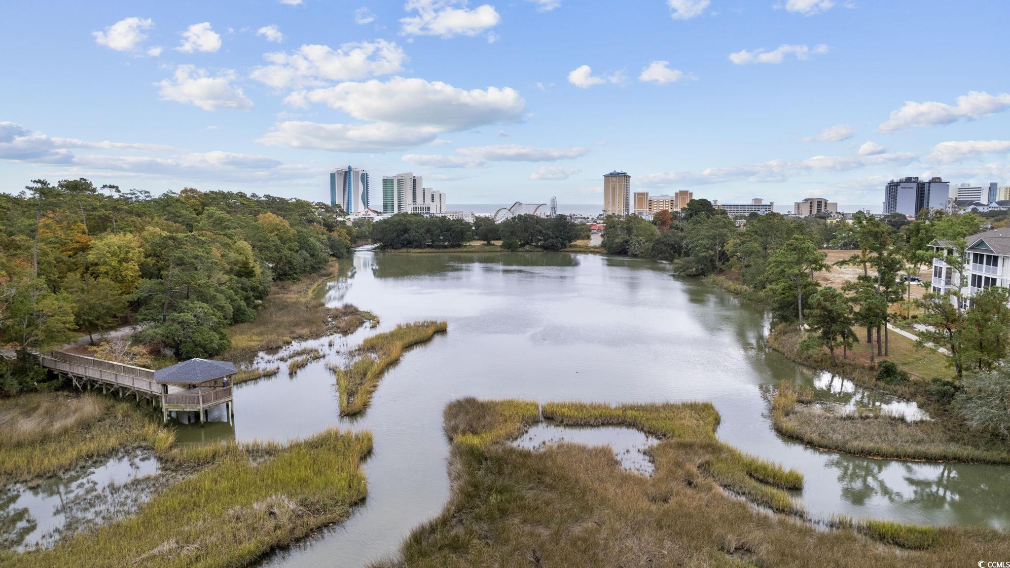 627 Bonaventure Drive, Unit 104 Myrtle Beach, SC 29577 - Photo 39 of 39