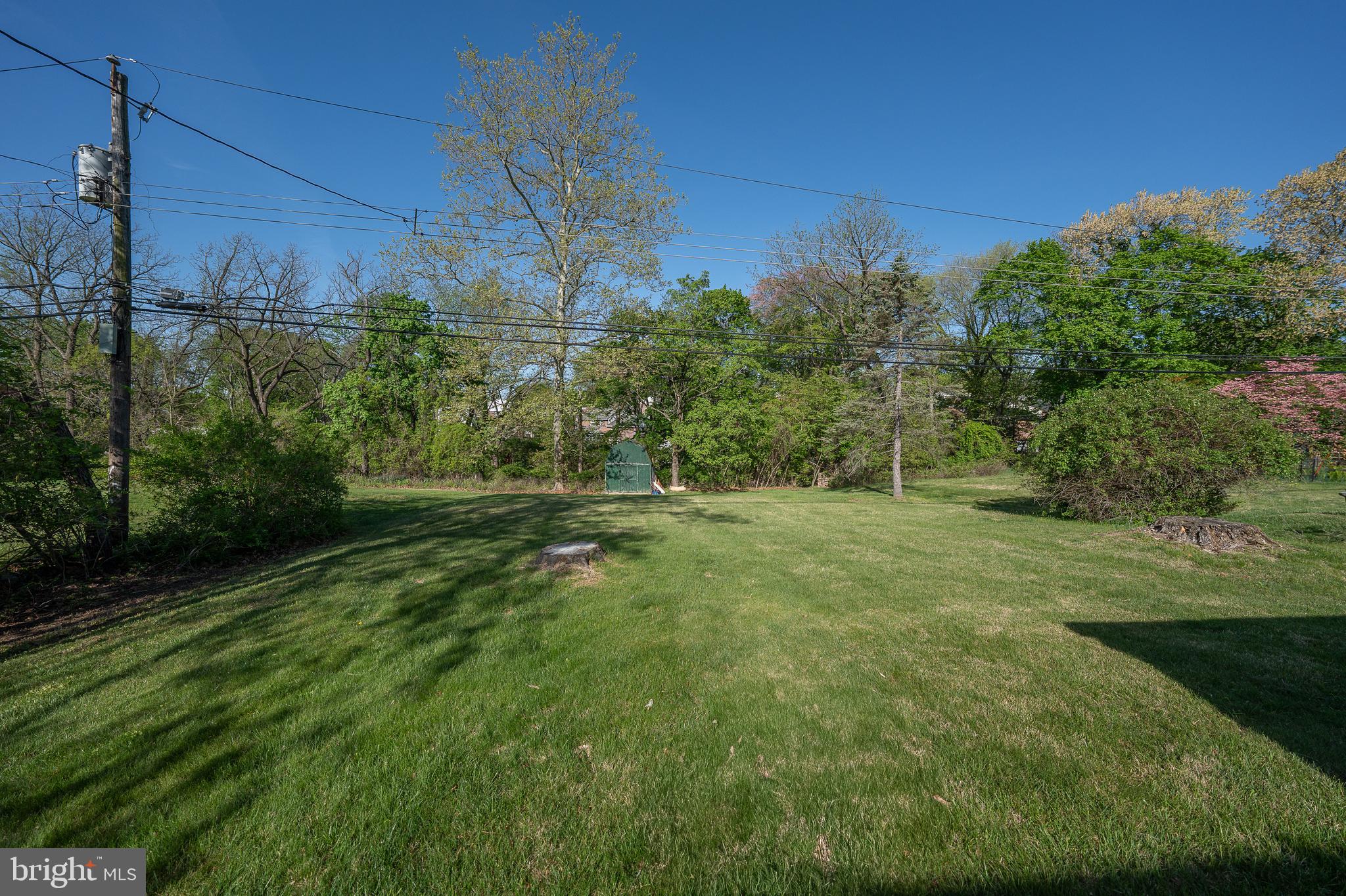 262 Lewis Road Springfield, PA 19064 - Photo 6 of 11 a view of a grassy field with trees