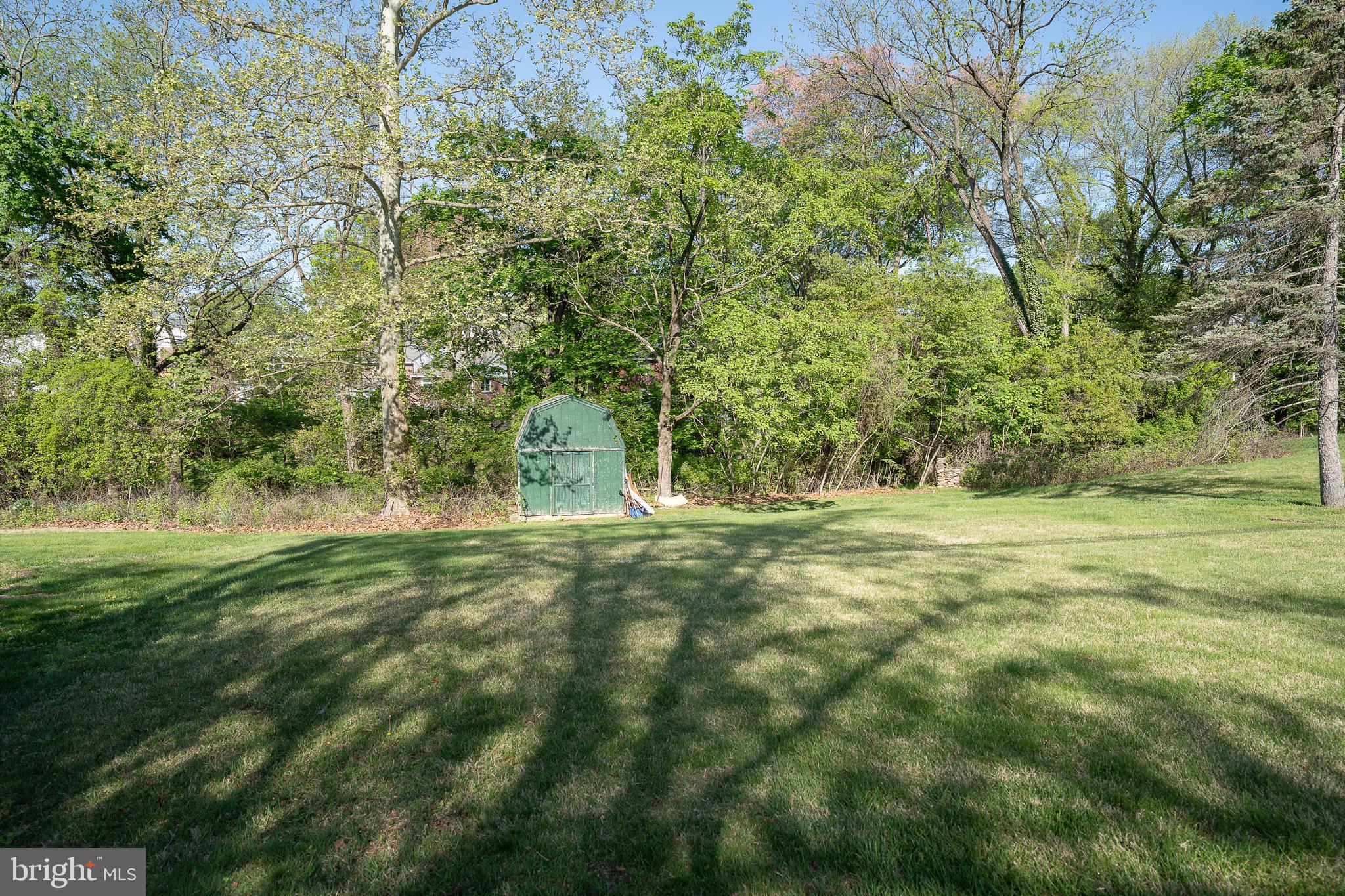 262 Lewis Road Springfield, PA 19064 - Photo 7 of 11 a view of outdoor space with trees all around