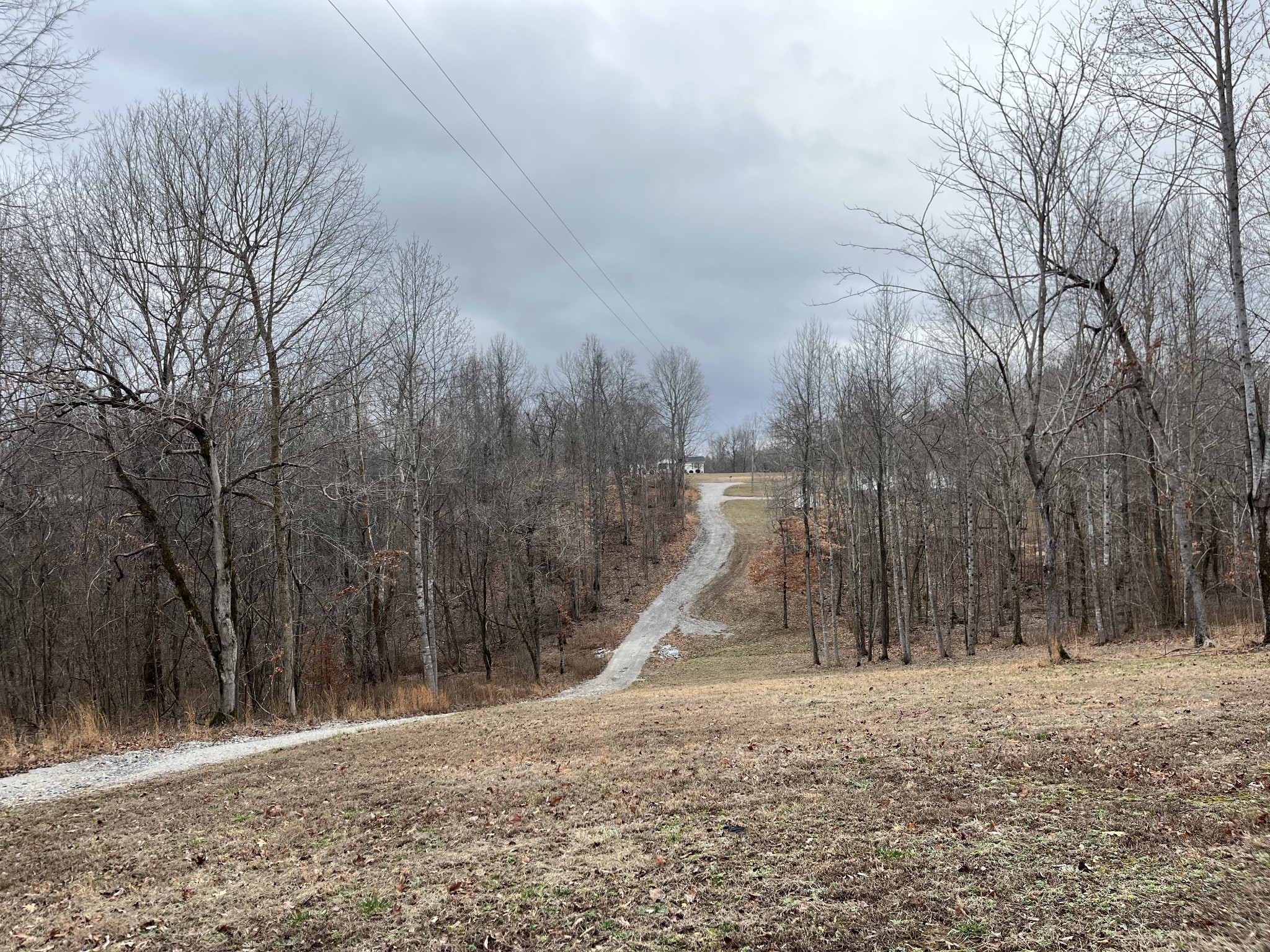 1003 Promise Land Road Charlotte, TN 37036 - Photo 2 of 25