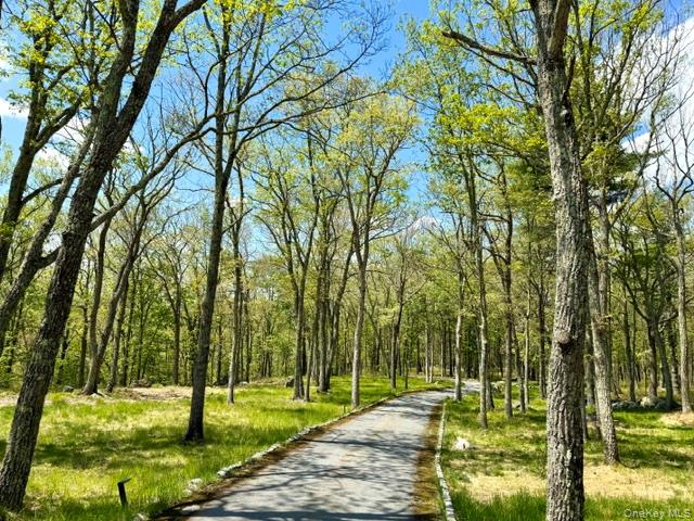 125 Mapes Road Barryville, NY 12719 - Photo 28 of 37 a view of a park with a tree