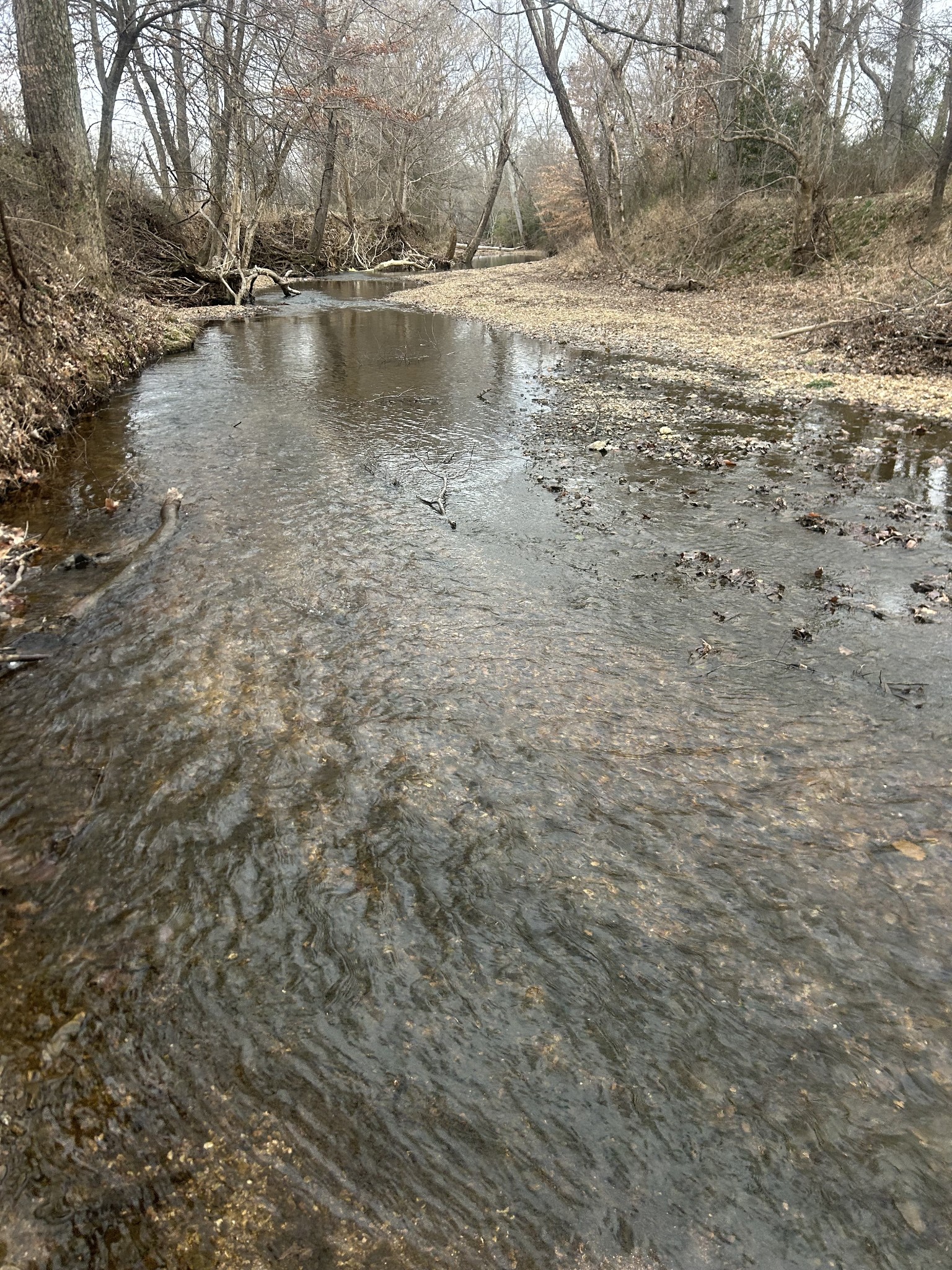 0 Lower Big Sandy Road Big Sandy, TN 38221 - Photo 4 of 14 a view of a lake view