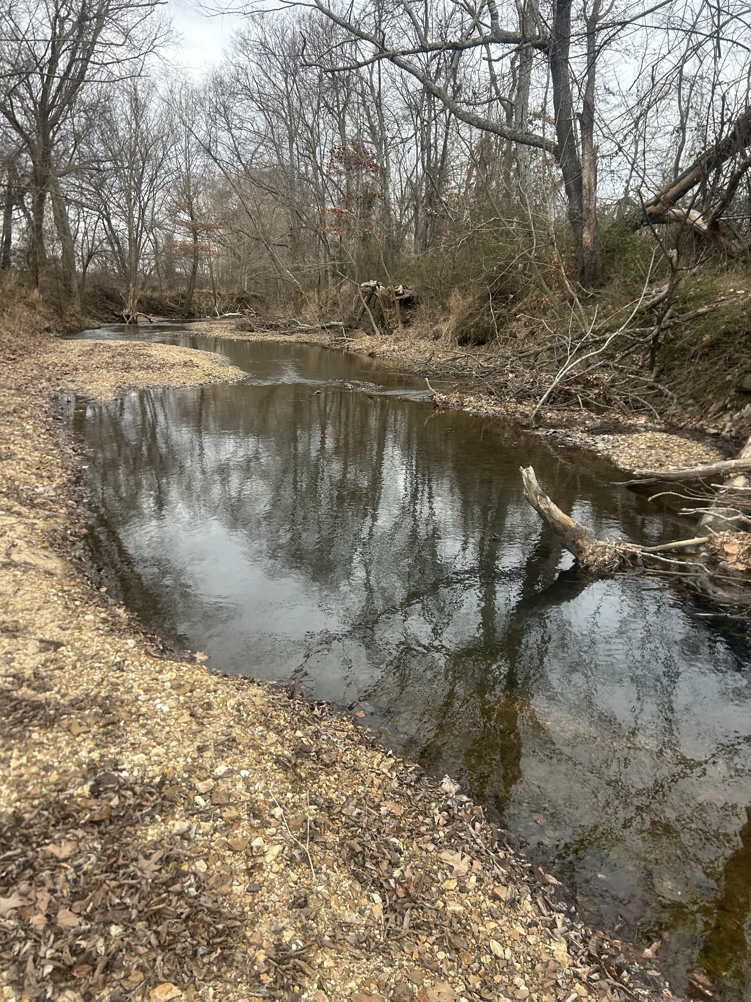 0 Lower Big Sandy Road Big Sandy, TN 38221 - Photo 5 of 14 a view of a lake with mountain