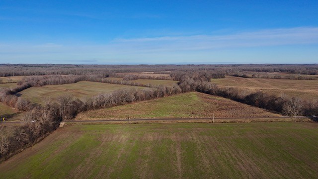0 Lower Big Sandy Road Big Sandy, TN 38221 - Photo 6 of 14 a view of an ocean beach