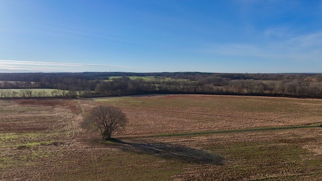 0 Lower Big Sandy Road Big Sandy, TN 38221 - Photo 8 of 14 a view of lake