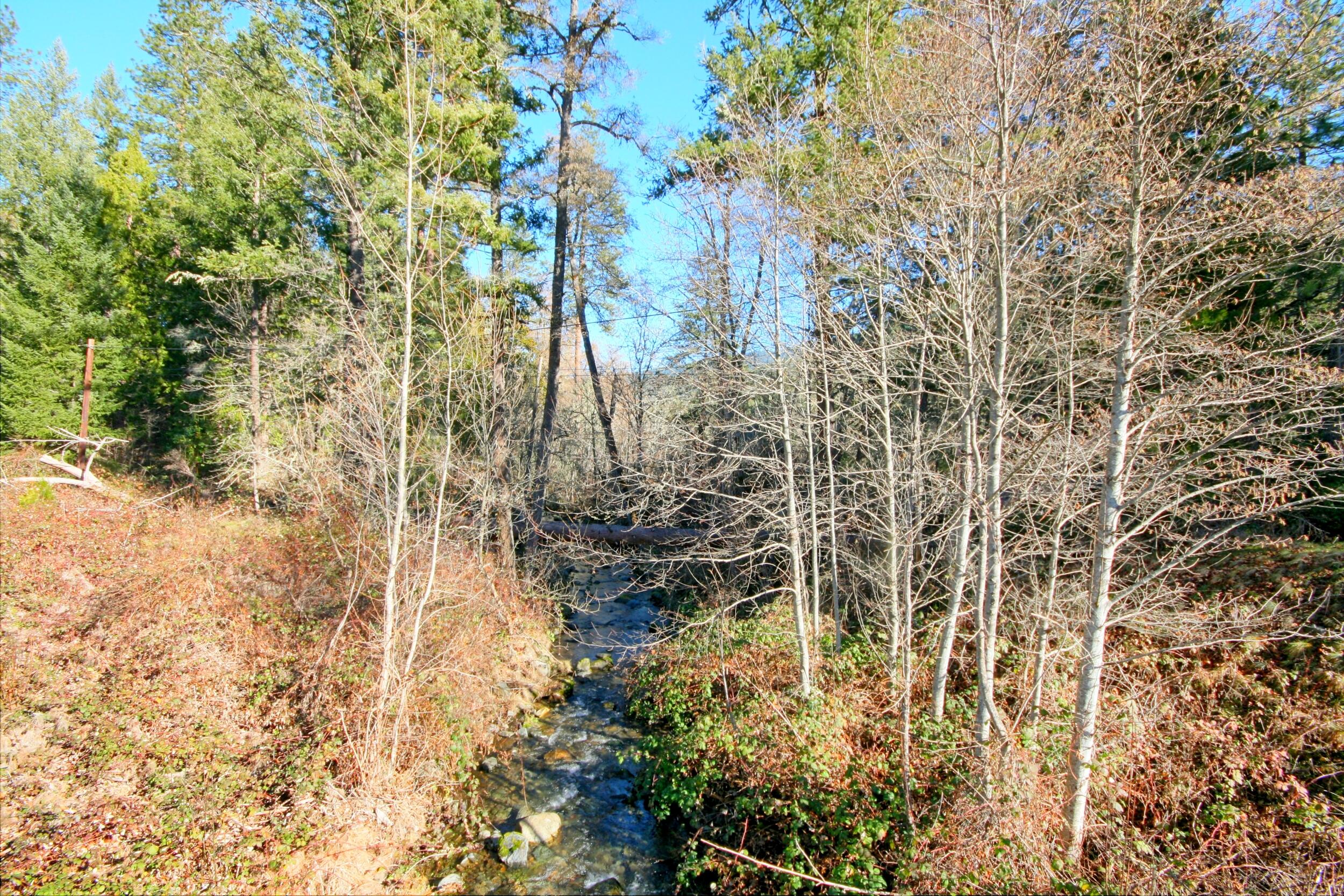 5000 Thompson Creek Road Jacksonville, OR 97530 - Photo 5 of 70 IMG_8908_09_10_easyHDR