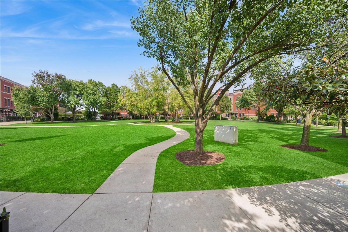 634 West Oak Street Chicago, IL 60610 - Photo 29 of 34 a view of a park with large trees