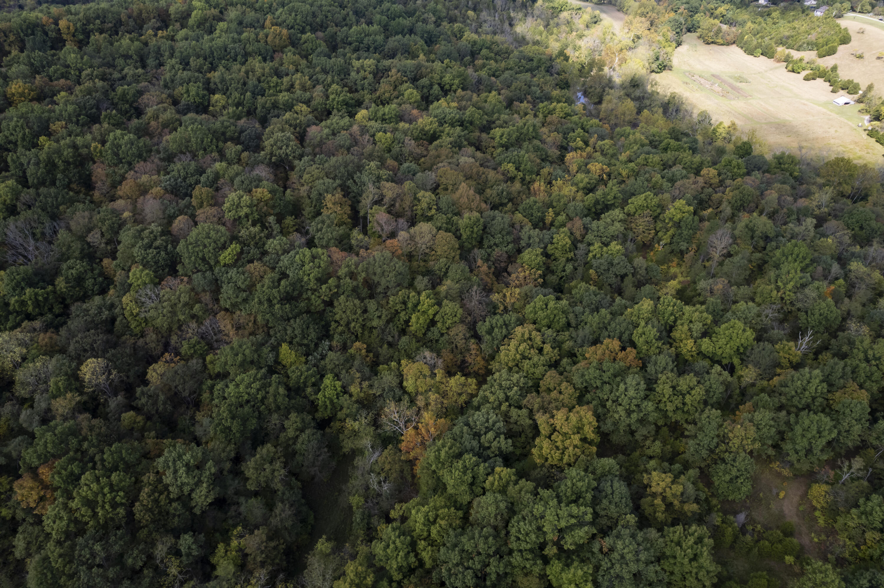77-ac Clarks Crk Road Dry Ridge, KY 41035 - Photo 3 of 31