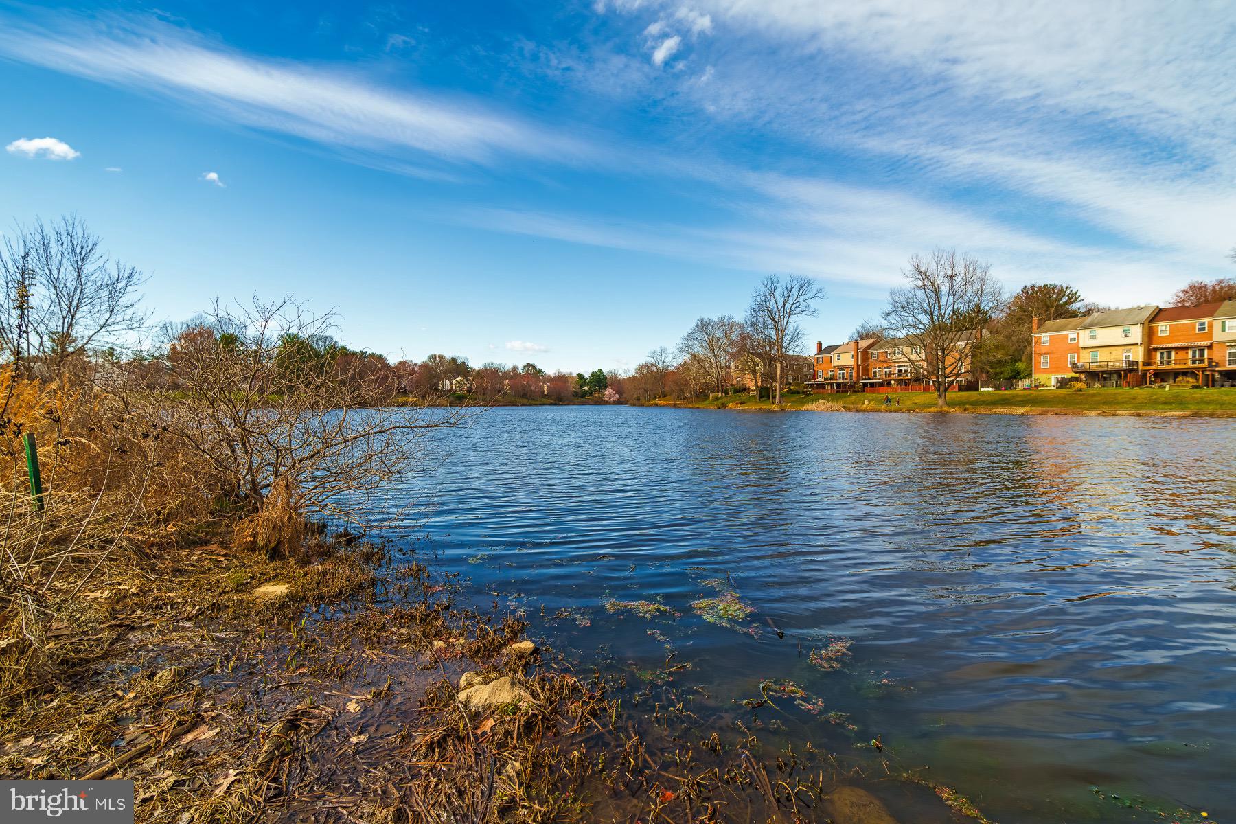 9315 Raintree Road Burke, VA 22015 - Photo 54 of 67 Gallery Image 54