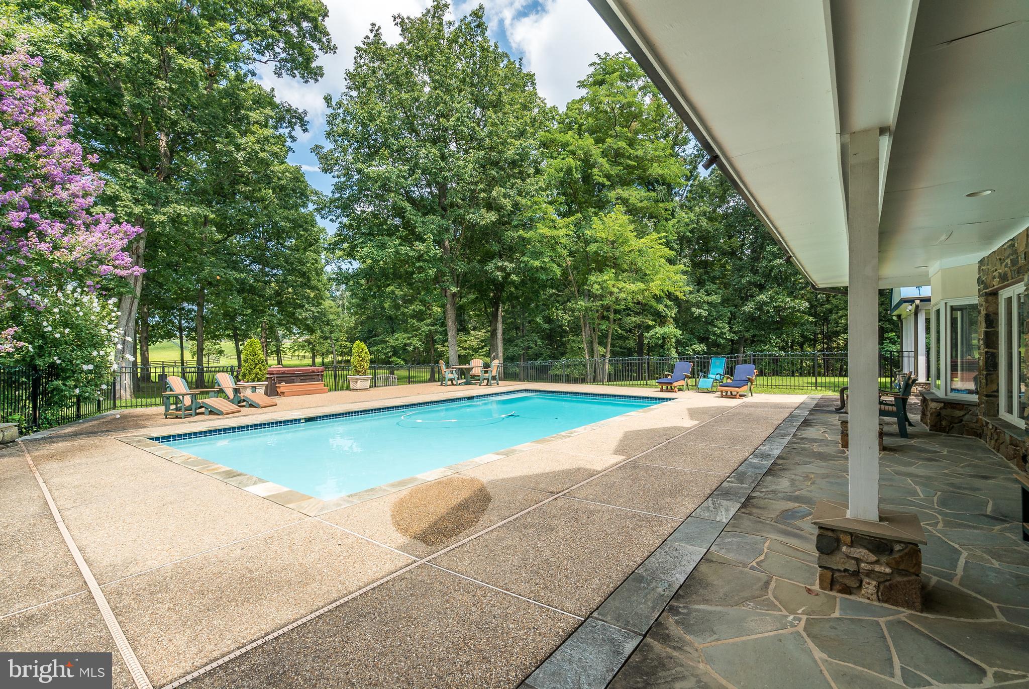 20022 Trappe Road Bluemont, VA 20135 - Photo 13 of 97