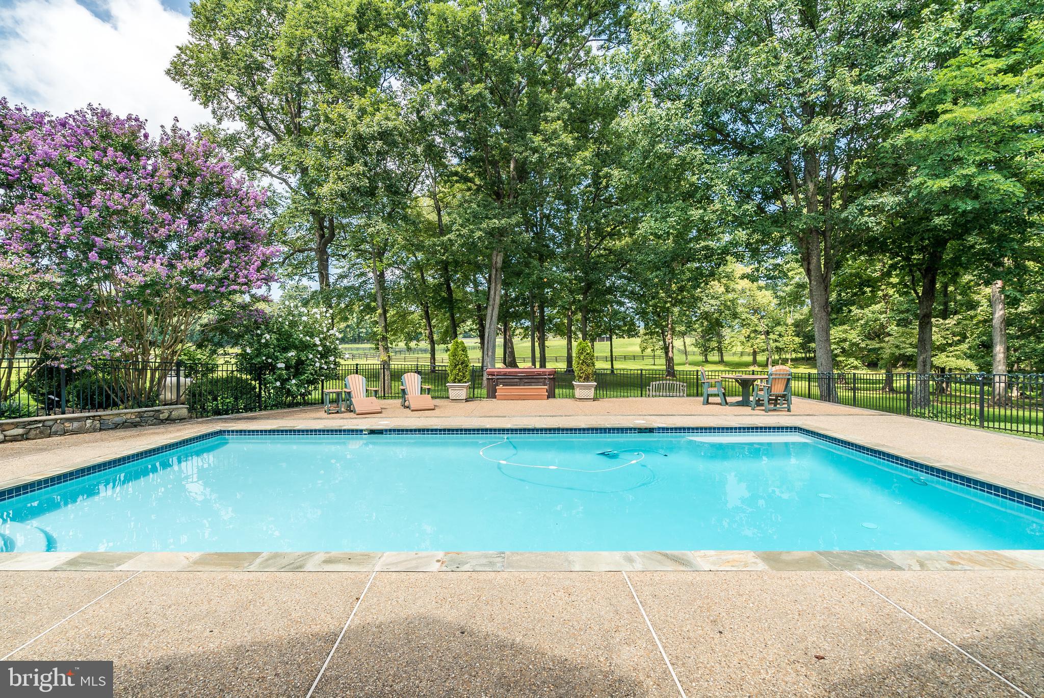 20022 Trappe Road Bluemont, VA 20135 - Photo 24 of 97 a view of a swimming pool and a yard