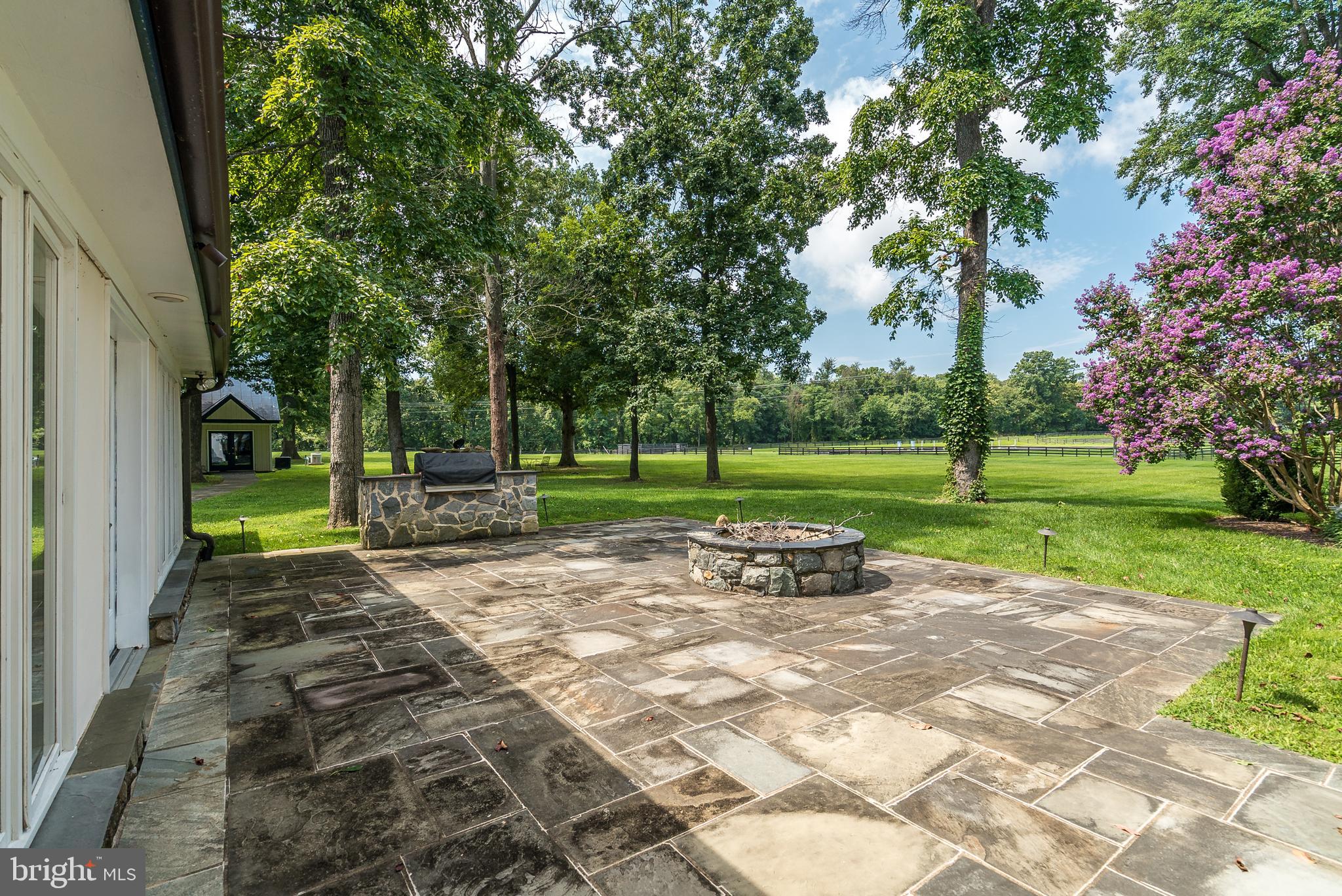 20022 Trappe Road Bluemont, VA 20135 - Photo 25 of 97 a view of a park with tree s