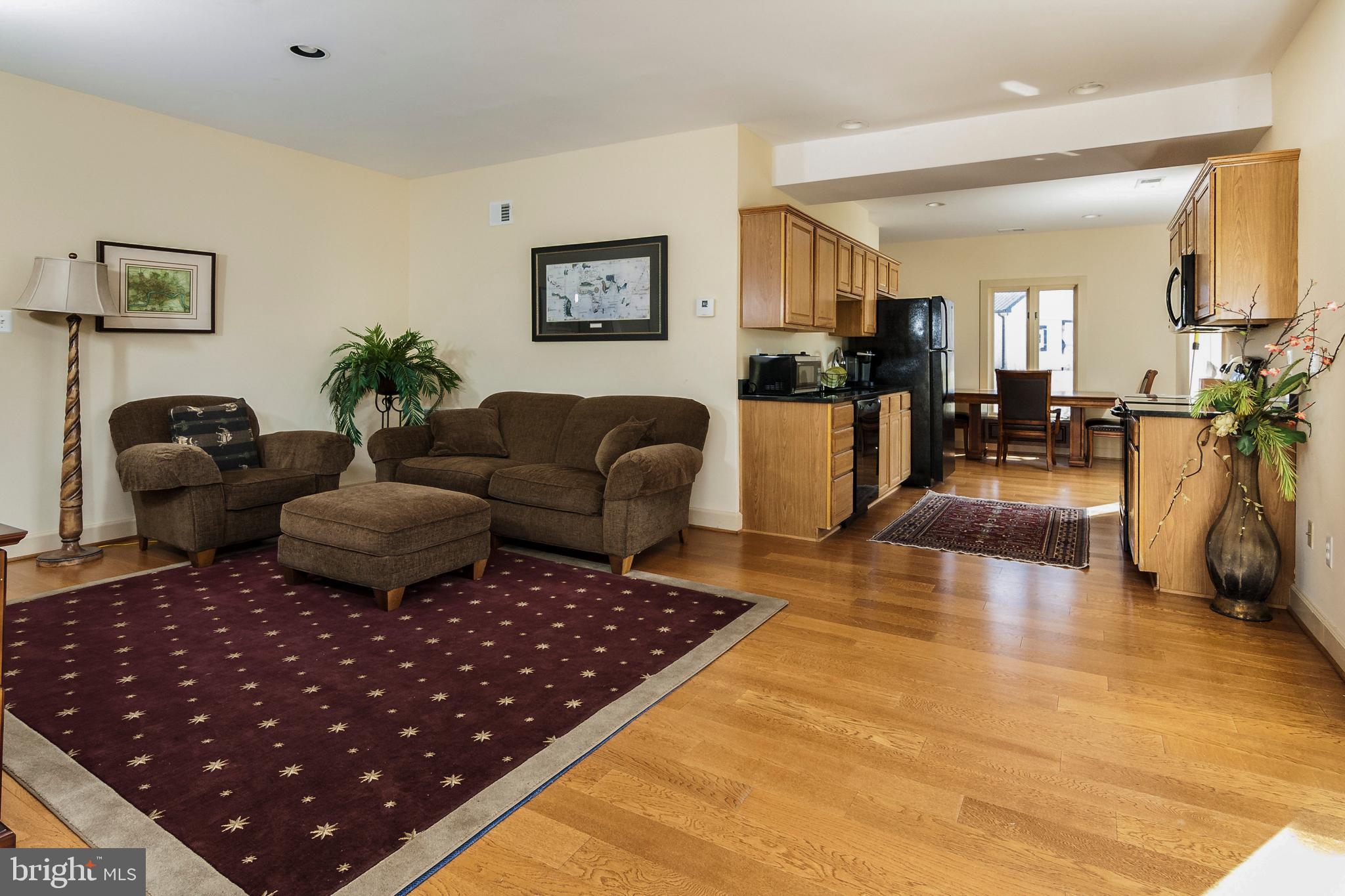 20022 Trappe Road Bluemont, VA 20135 - Photo 55 of 97 a living room with furniture and a rug