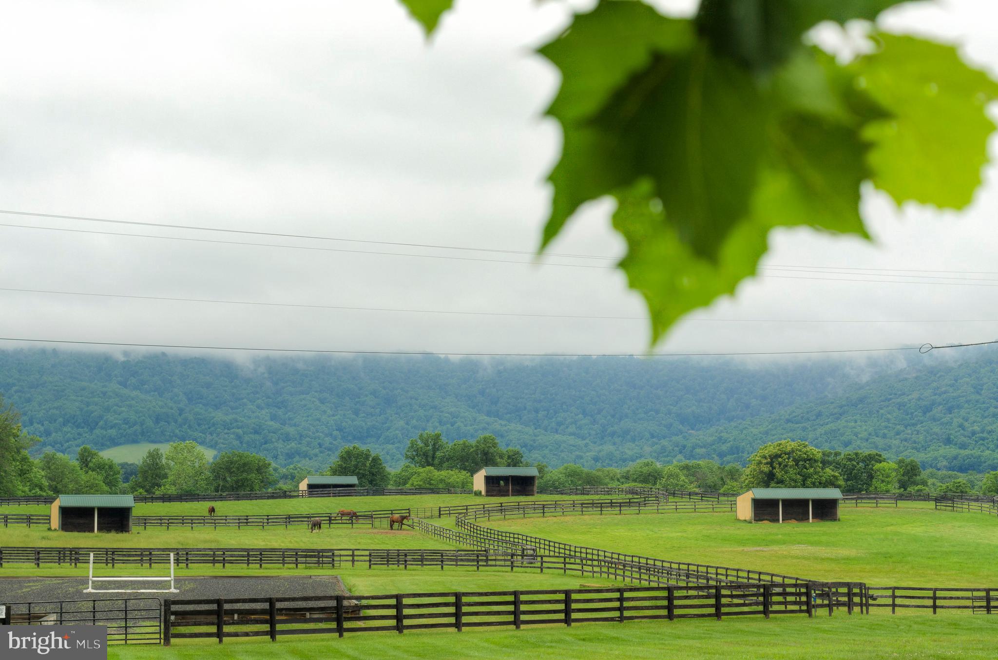 20022 Trappe Road Bluemont, VA 20135 - Photo 70 of 97 As a storm was rolling in