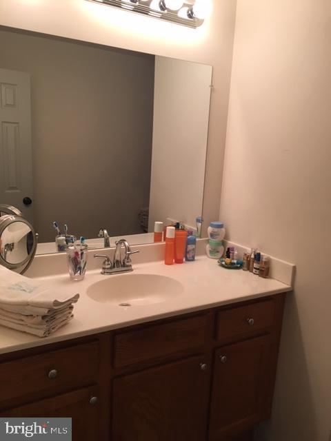 20022 Trappe Road Bluemont, VA 20135 - Photo 79 of 97 a bathroom with a sink and a mirror