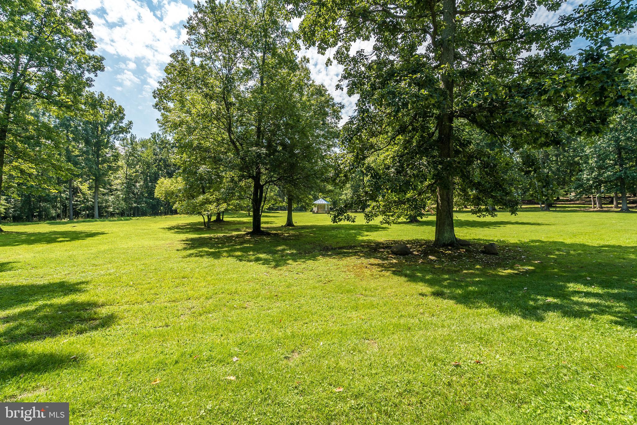 20022 Trappe Road Bluemont, VA 20135 - Photo 81 of 97 Vistas