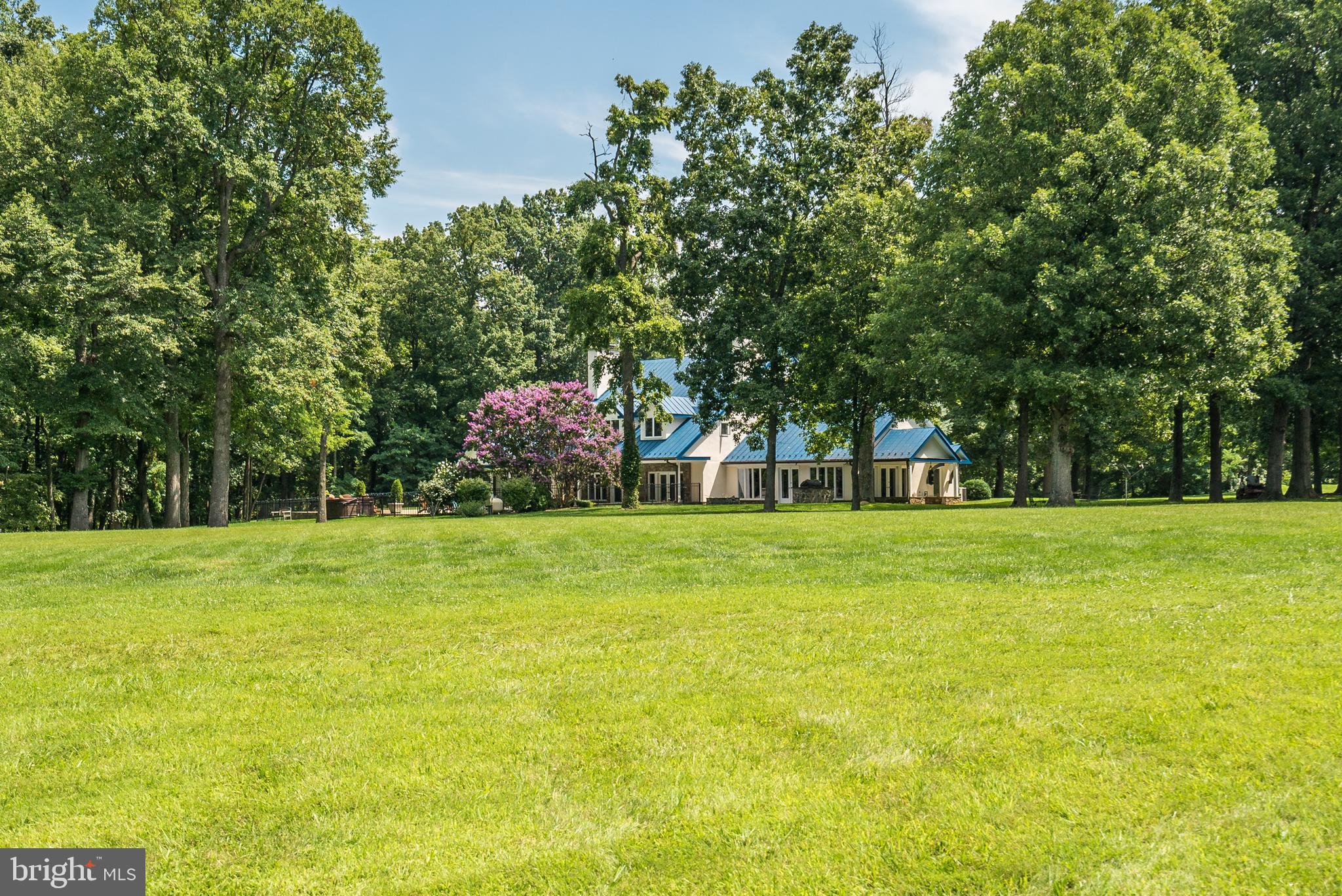 20022 Trappe Road Bluemont, VA 20135 - Photo 91 of 97 a view of a trees in front of a big yard
