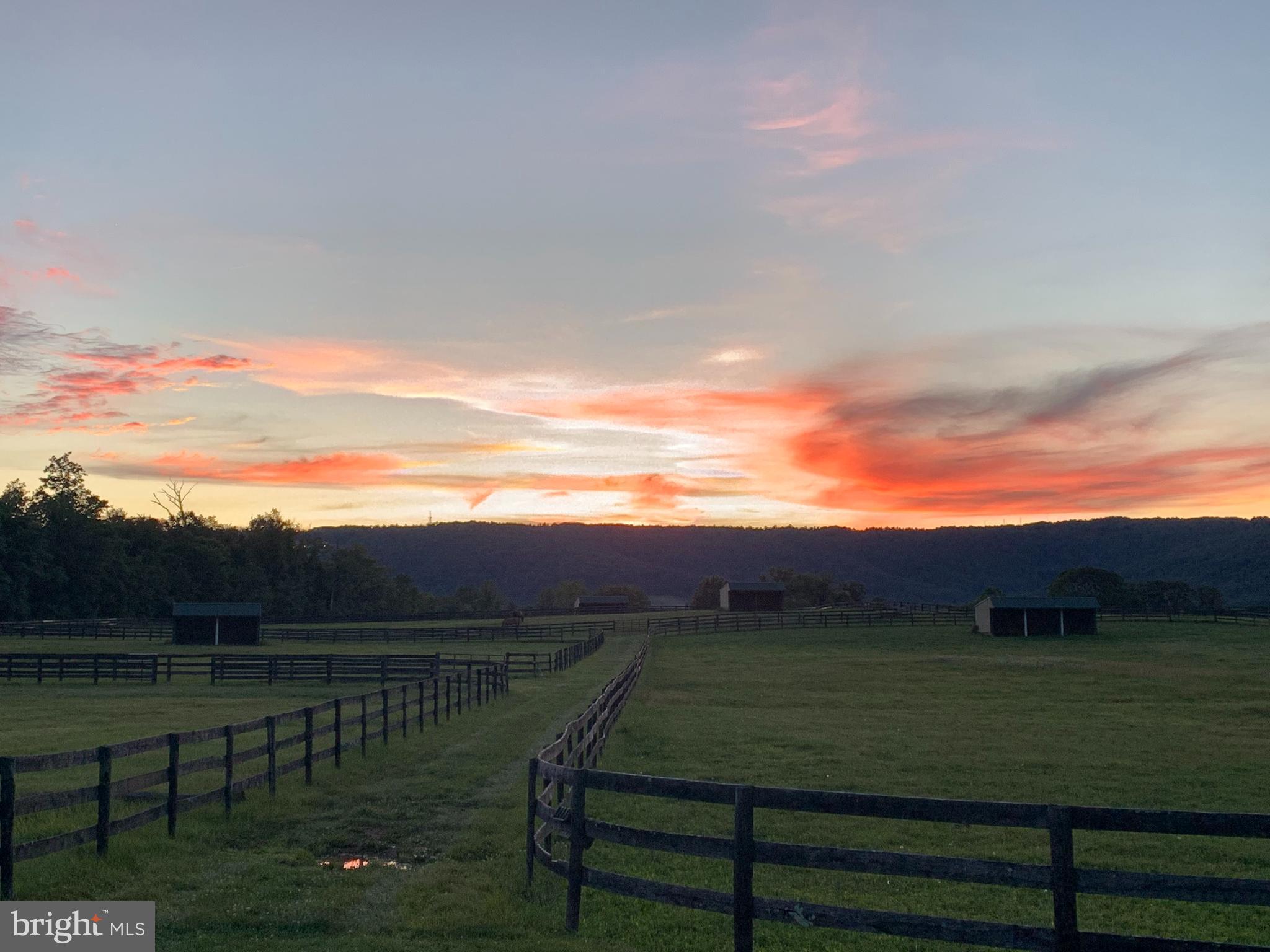 20022 Trappe Road Bluemont, VA 20135 - Photo 94 of 97 Beautiful sunset, like many evenings at Trappe,