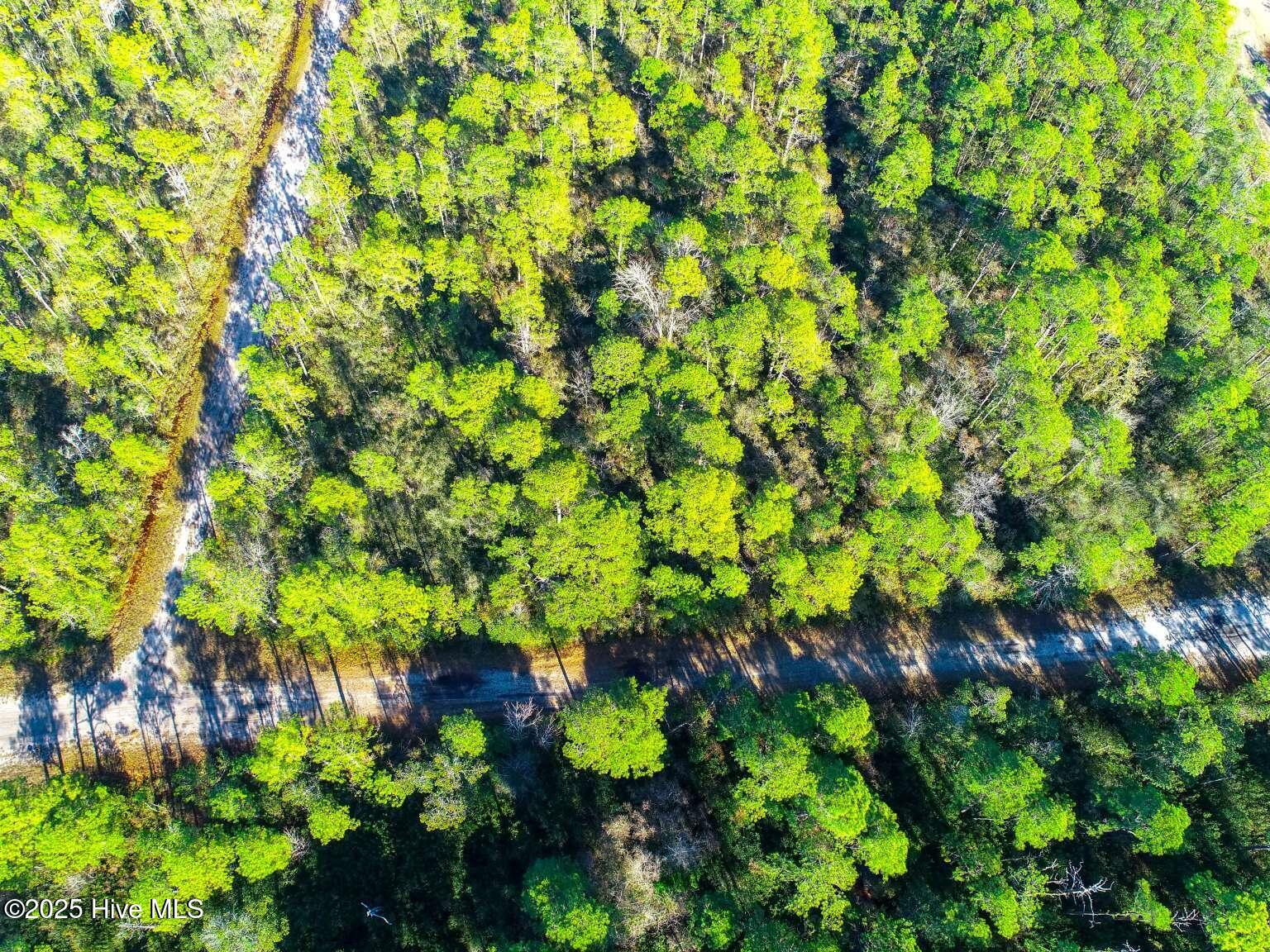 0 Pender Road Southport, NC 28461 - Photo 4 of 7 Newman.4