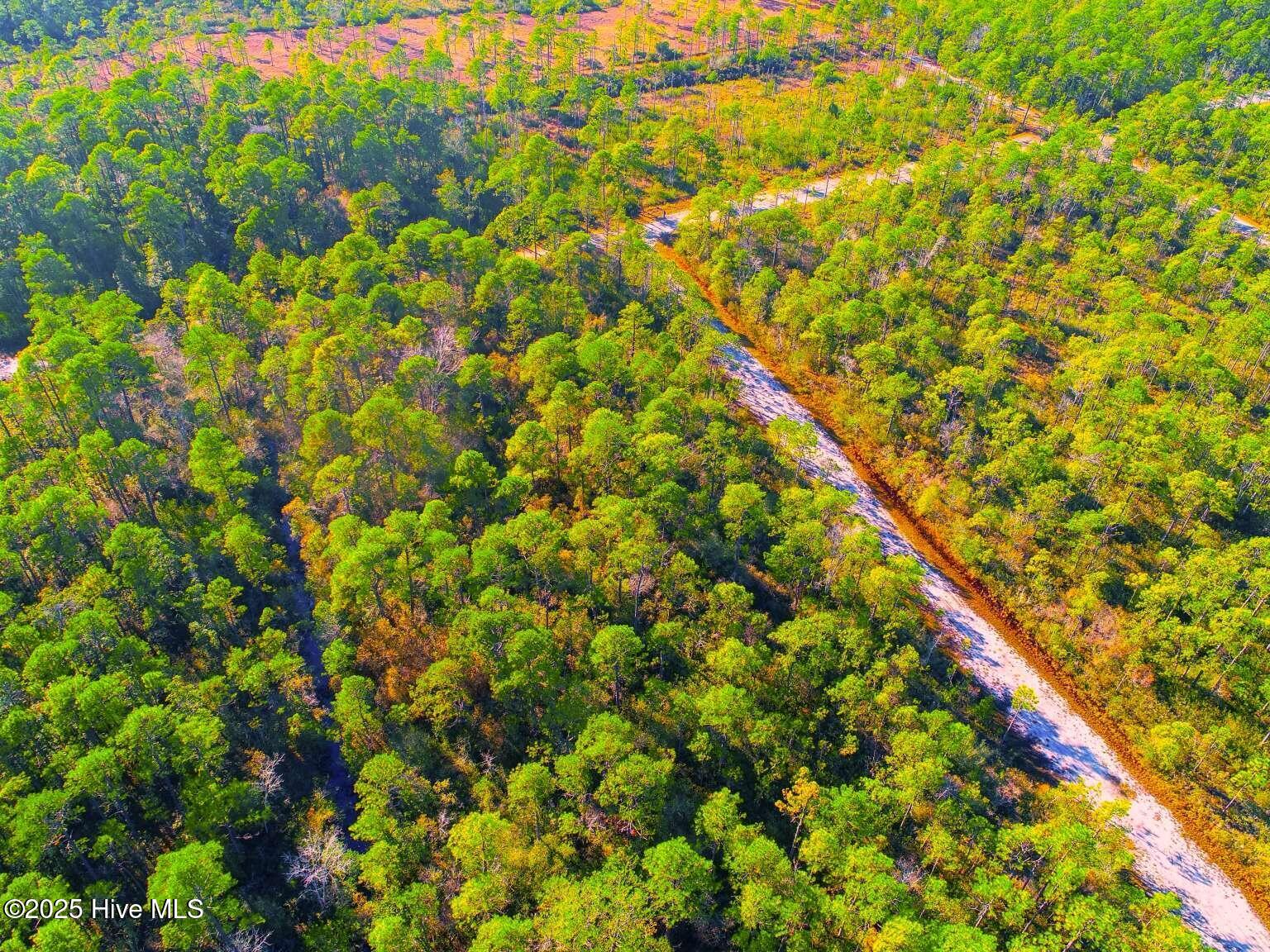 0 Pender Road Southport, NC 28461 - Photo 5 of 7 Newman.5