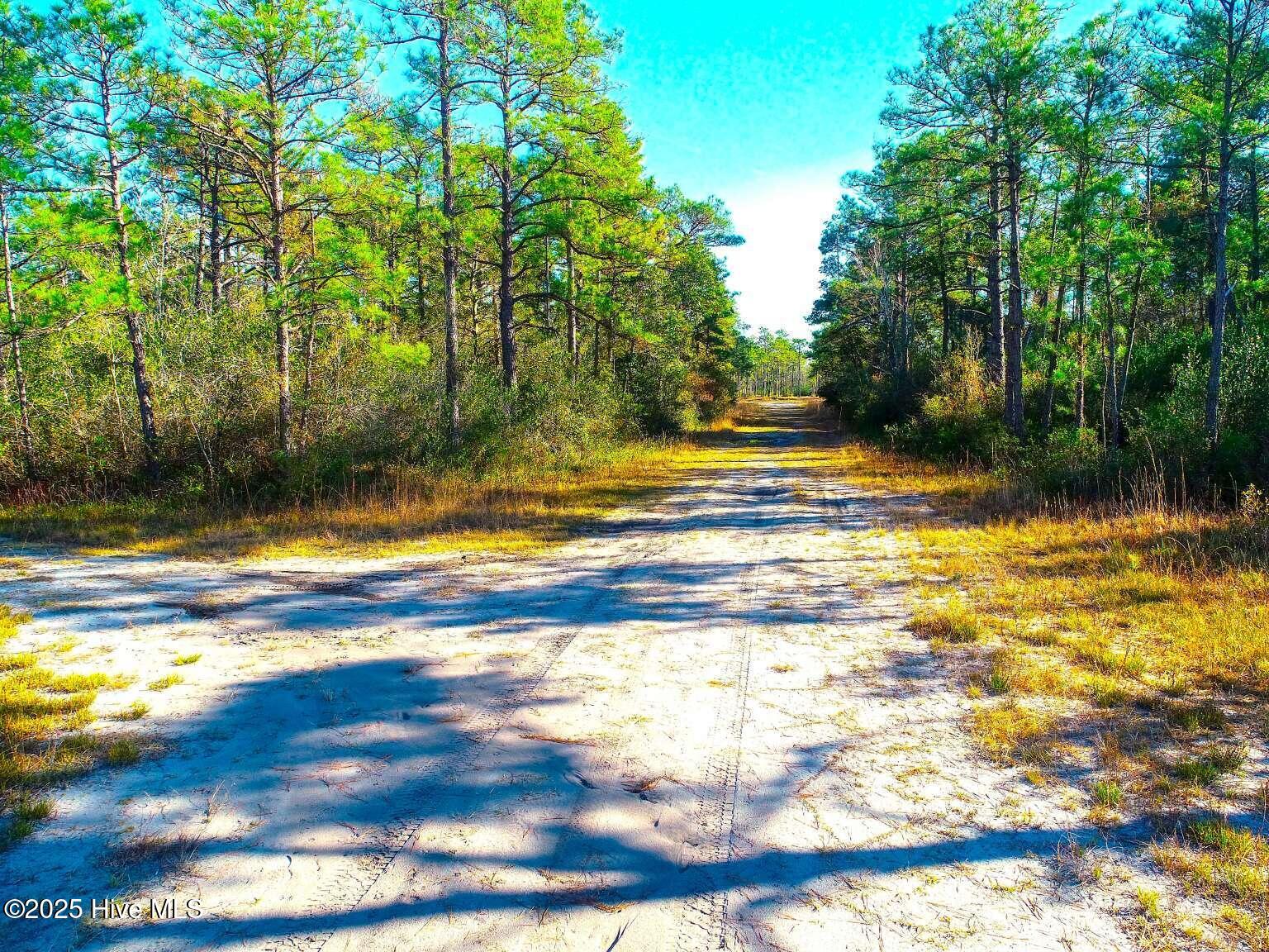 0 Pender Road Southport, NC 28461 - Photo 7 of 7 Newman.7