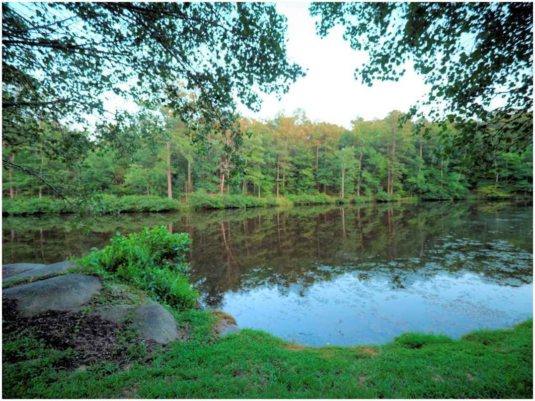 5209 Mill Dam Road Wake Forest, NC 27587 - Photo 21 of 22 Photo 21