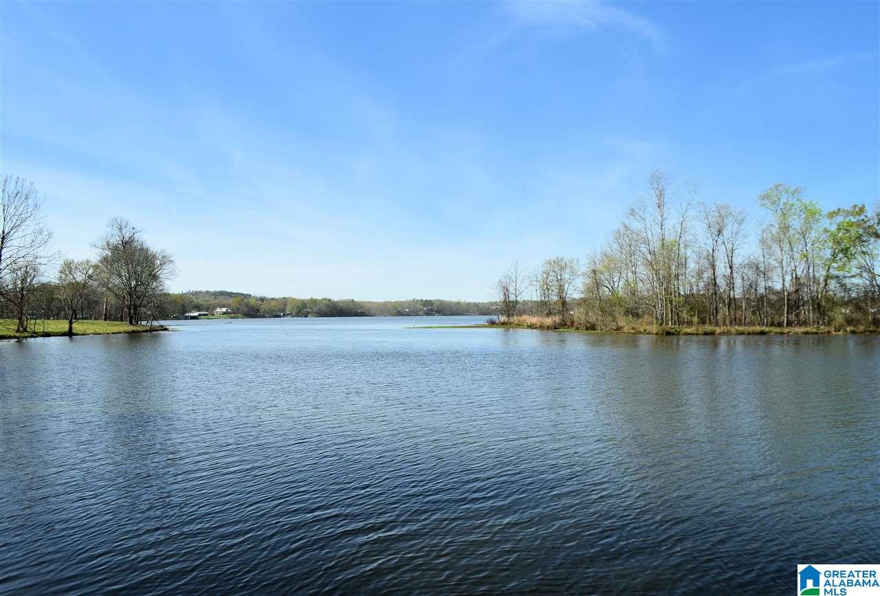 4683 Mcgowans Ferry Road Childersburg, AL 35044 - Photo 17 of 46