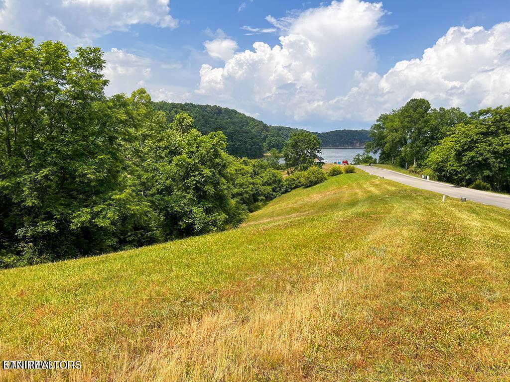2069 Turner Landing Road Russellville, TN 37860 - Photo 1 of 17 20221017175644655884000000-o
