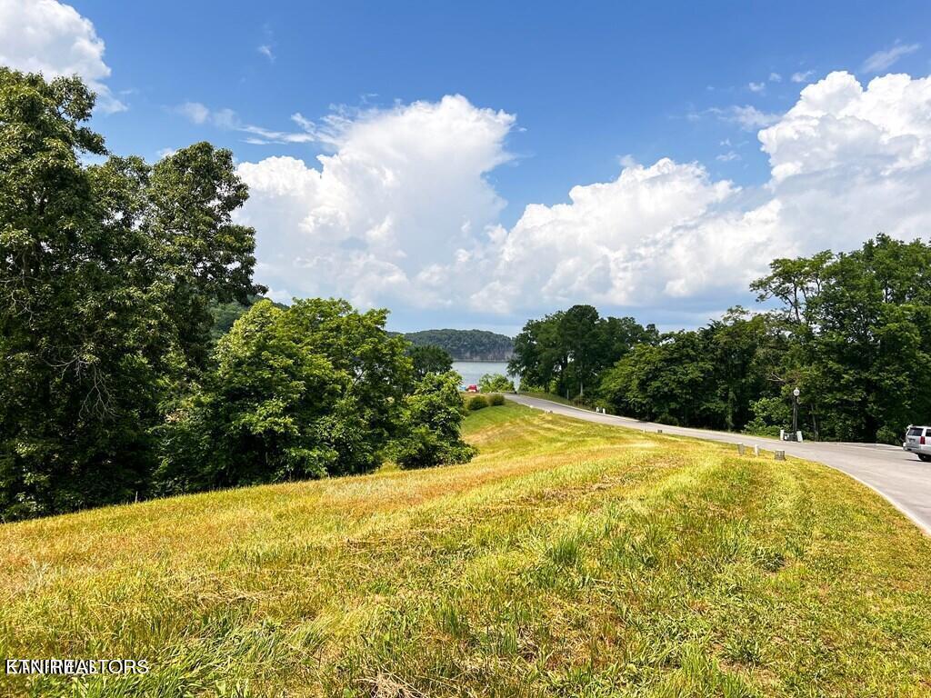 2069 Turner Landing Road Russellville, TN 37860 - Photo 6 of 17 20221017175652164436000000-o