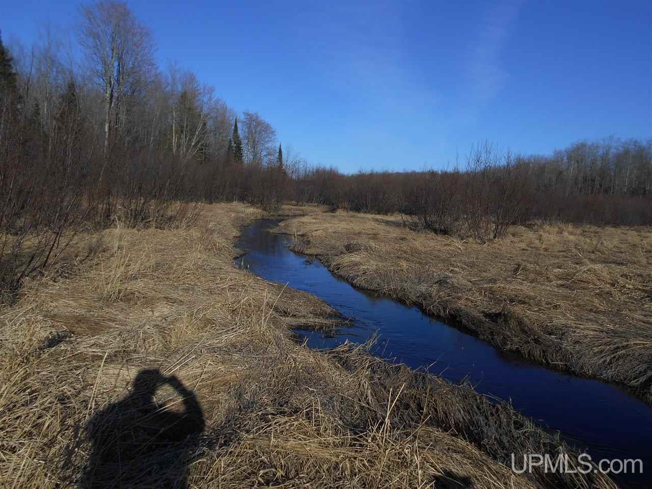 Tbd Off Heikkila Road Ironwood, MI 49938 - Photo 9 of 13