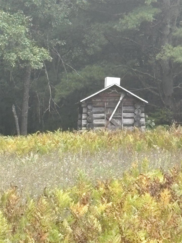 5 5 Mile Road Howard City, MI 49329 - Photo 9 of 99 Gallery Image 9