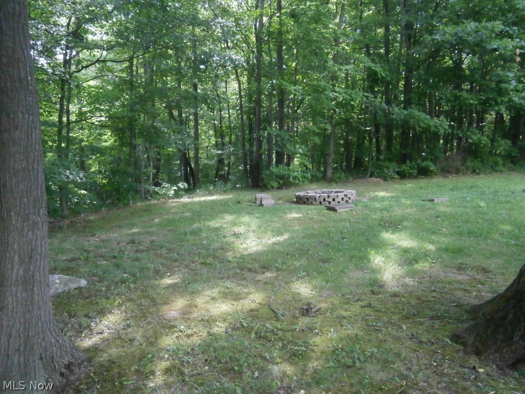 10035 Cutts Road Chardon, OH 44024 - Photo 8 of 25