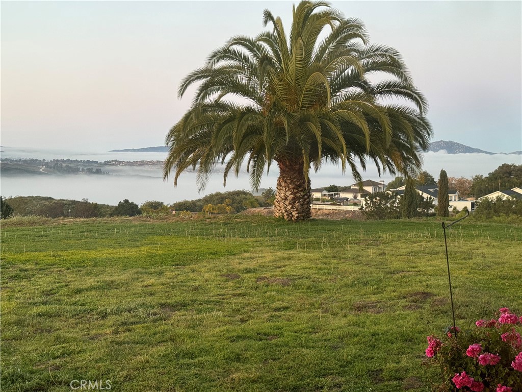 35394 Linda Rosea Road Temecula, CA 92592 - Photo 63 of 69 a view of a lake with a garden